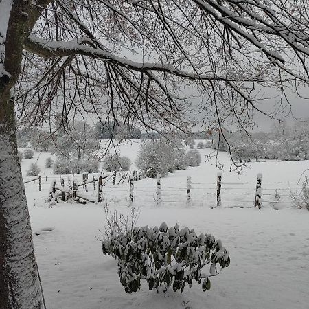 Villa Abri de jardin à Vielsalm Extérieur photo